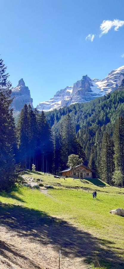 Chalet Brenta Dolomites Madonna di Campiglio Exterior photo