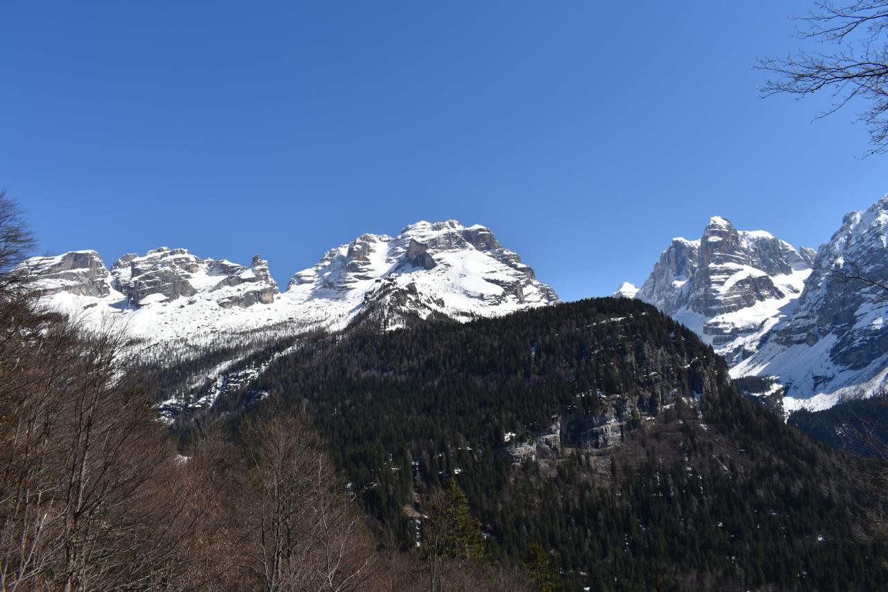 Chalet Brenta Dolomites Madonna di Campiglio Exterior photo